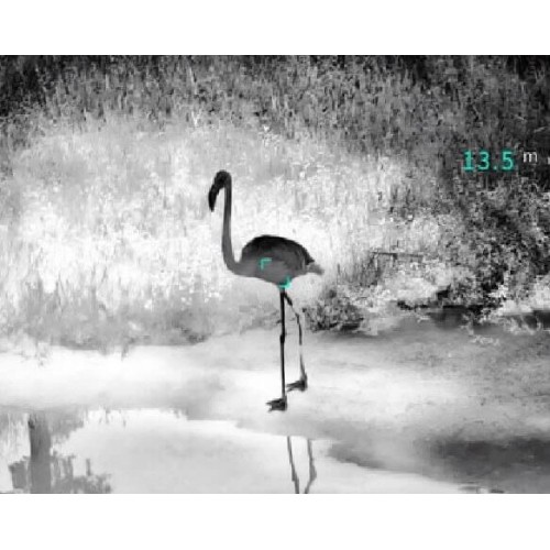 Тепловизионный бинокуляр Guide TN430 400х300, ø35мм, лазерный дальномер в Армавире