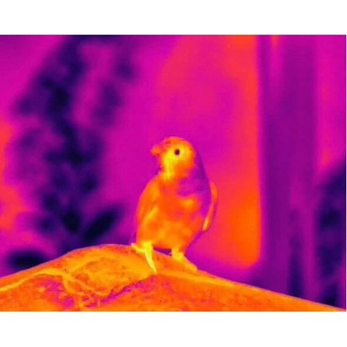 Тепловизионный бинокуляр Guide TN430 400х300, ø35мм, лазерный дальномер в Армавире